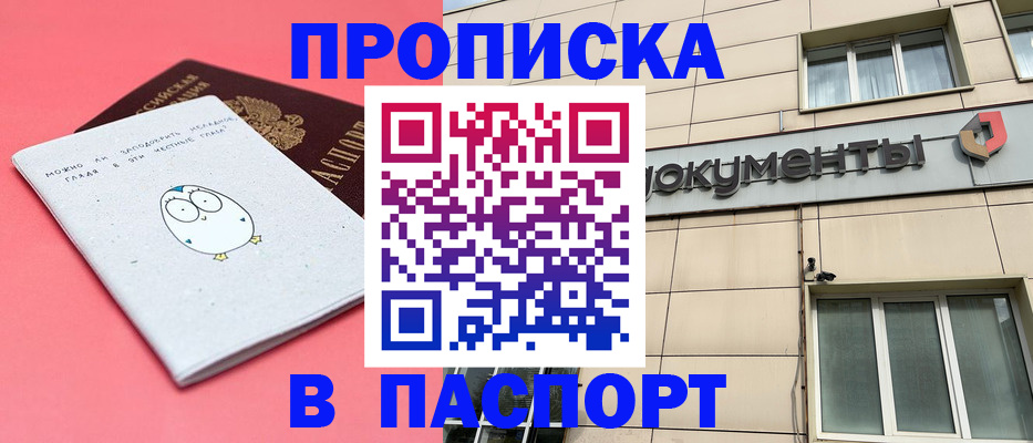 временная регистрация для всех в Камышине